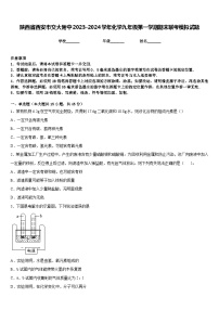 陕西省西安市交大附中2023-2024学年化学九年级第一学期期末联考模拟试题含答案