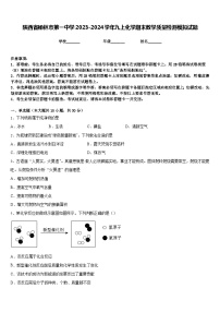 陕西省榆林市第一中学2023-2024学年九上化学期末教学质量检测模拟试题含答案