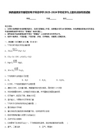 陕西省西安市雁塔区电子科技中学2023-2024学年化学九上期末达标检测试题含答案