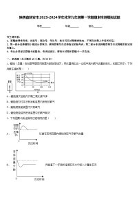 陕西省延安市2023-2024学年化学九年级第一学期期末检测模拟试题含答案