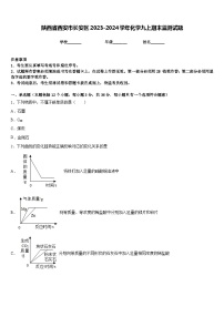 陕西省西安市长安区2023-2024学年化学九上期末监测试题含答案