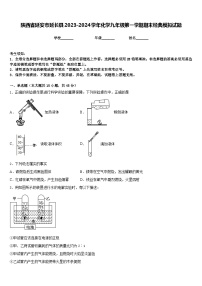 陕西省延安市延长县2023-2024学年化学九年级第一学期期末经典模拟试题含答案