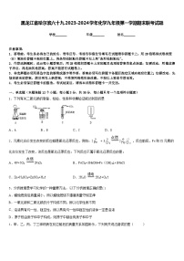 黑龙江省哈尔滨六十九2023-2024学年化学九年级第一学期期末联考试题含答案