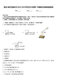 黑龙江省哈尔滨尚志市2023-2024学年化学九年级第一学期期末质量跟踪监视试题含答案