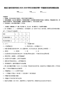 黑龙江省哈尔滨市名校2023-2024学年九年级化学第一学期期末质量检测模拟试题含答案