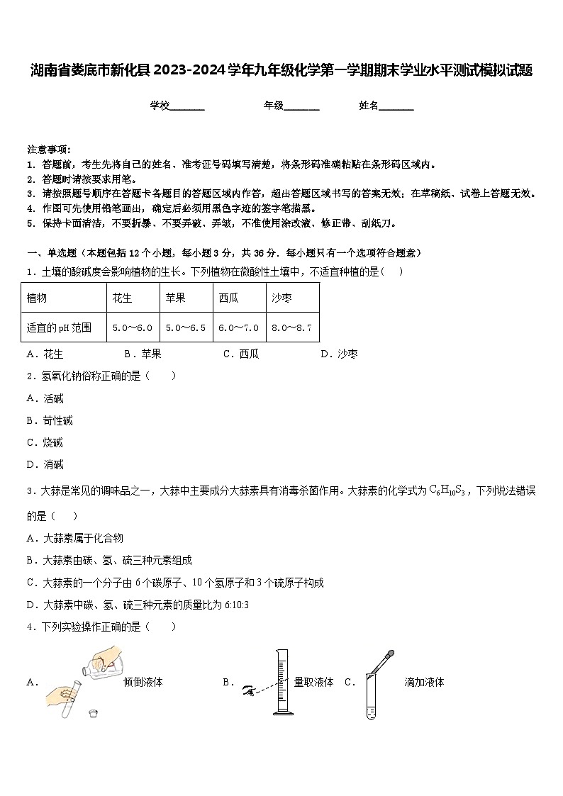 湖南省娄底市新化县2023-2024学年九年级化学第一学期期末学业水平测试模拟试题含答案第1页