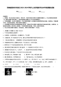 甘肃省嘉峪关市名校2023-2024学年九上化学期末学业水平测试模拟试题含答案