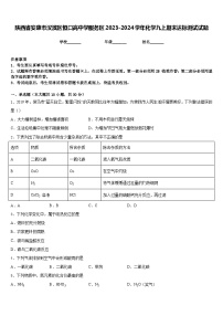 陕西省安康市汉滨区恒口高中学服务区2023-2024学年化学九上期末达标测试试题含答案