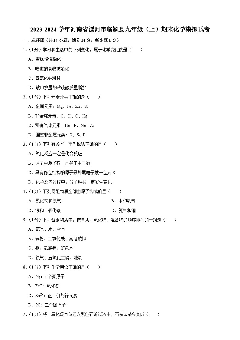 河南省漯河市临颍县2023-2024学年九年级上学期期末模拟化学试卷第1页