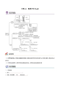 备战中考化学考点总复习 专题12 酸碱中和与pH【考点精讲】（全国通用）（原卷版+解析版）