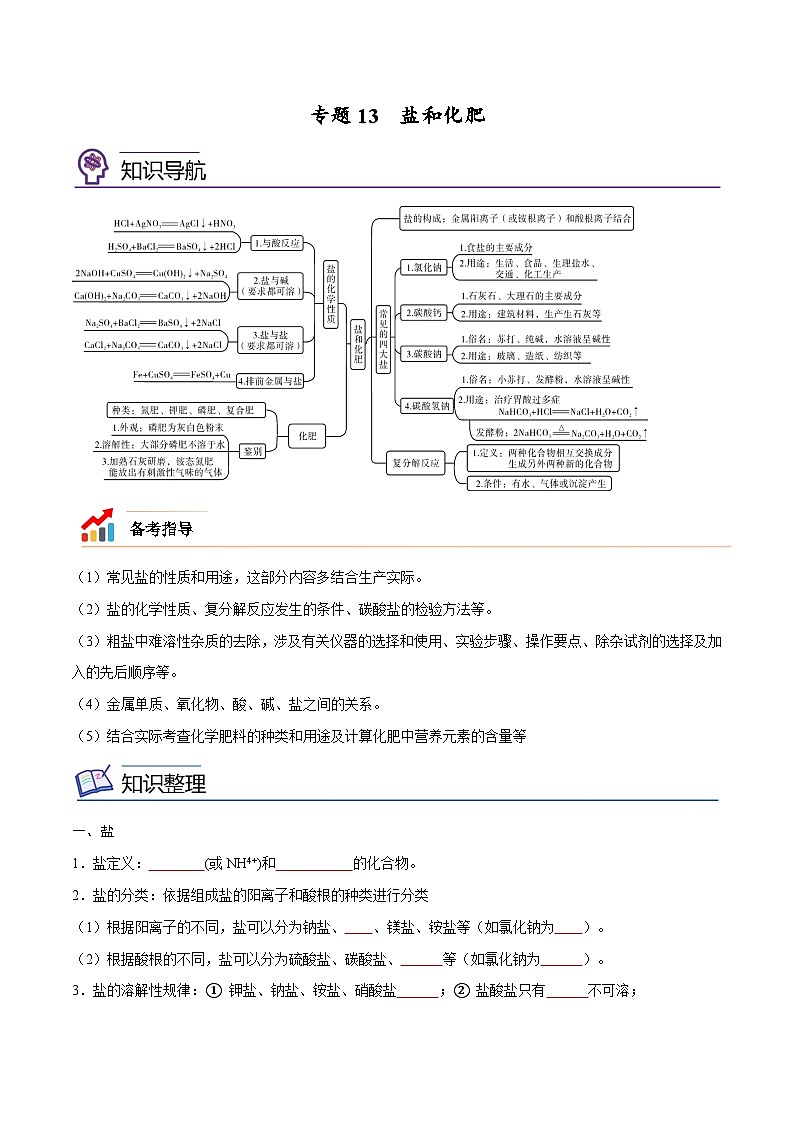 备战中考化学考点总复习 专题13 盐和化肥【考点精讲】（全国通用）（原卷版+解析版）01