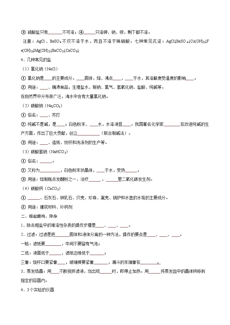备战中考化学考点总复习 专题13 盐和化肥【考点精讲】（全国通用）（原卷版+解析版）02