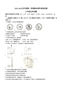 河北省保定市高碑店市2023-2024学年九年级上学期1月期末化学试题