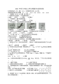 重庆市南川区2023-2024学年九年级上学期期末考试化学试题