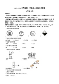 江苏省南京市联合体2023-2024+学年九年级上学期期末化学试卷