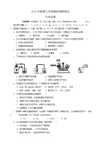 河南省南阳市镇平县2023-2024学年九年级上学期1月期末化学试题