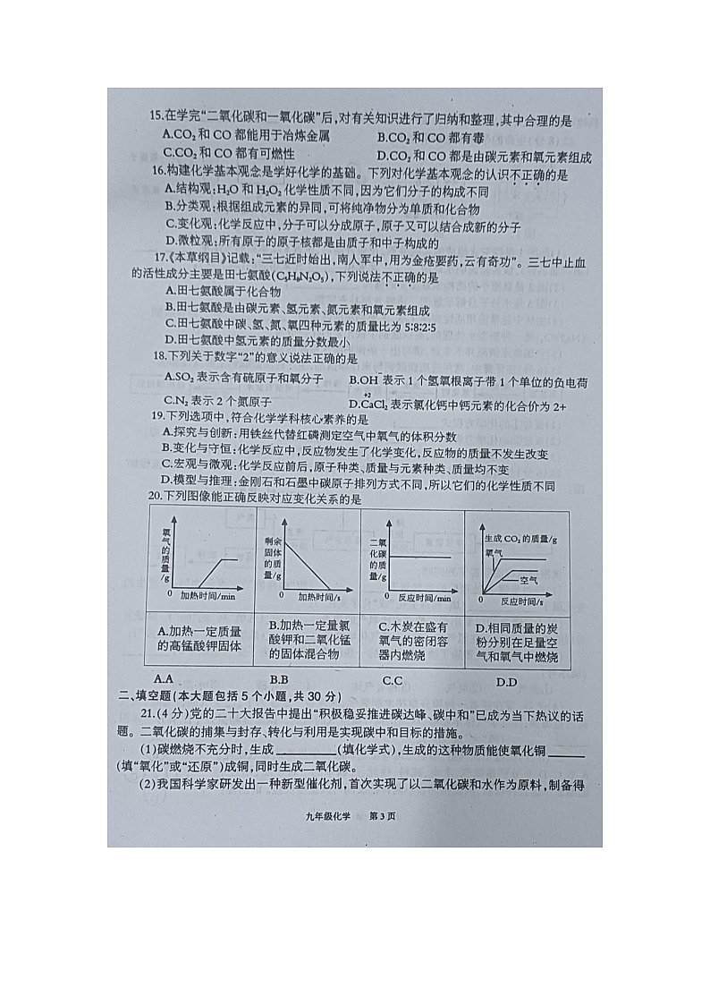 重庆市奉节县2023——2024学年九年级上学期期末化学试题第3页