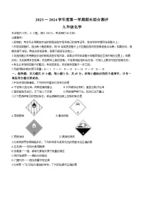 广东省河源市紫金县2023-2024学年九年级上学期期末化学试题