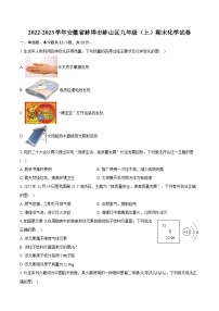 2022-2023学年安徽省蚌埠市蚌山区九年级（上）期末化学试卷（含详细答案解析）