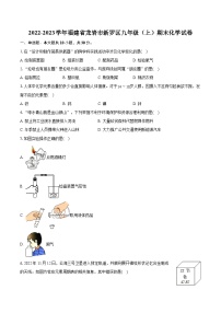 2022-2023学年福建省龙岩市新罗区九年级（上）期末化学试卷（含详细答案解析）