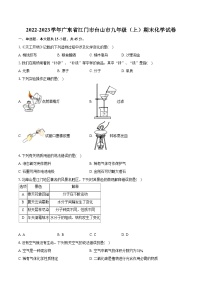 2022-2023学年广东省江门市台山市九年级（上）期末化学试卷（含详细答案解析）