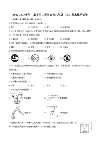 2022-2023学年广东省阳江市阳春市九年级（上）期末化学试卷（含详细答案解析）