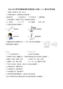 2022-2023学年河南省信阳市固始县九年级（上）期末化学试卷（含详细答案解析）