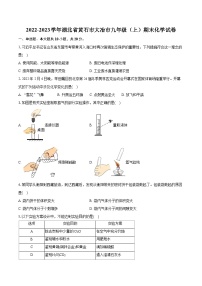 2022-2023学年湖北省黄石市大冶市九年级（上）期末化学试卷（含详细答案解析）