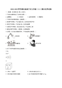 2022-2023学年湖北省咸宁市九年级（上）期末化学试卷（含详细答案解析）