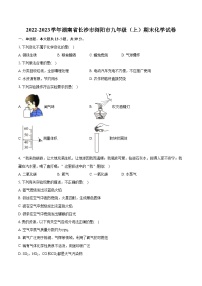 2022-2023学年湖南省长沙市浏阳市九年级（上）期末化学试卷（含详细答案解析）