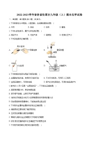 2022-2023学年吉林省松原市九年级（上）期末化学试卷（含详细答案解析）