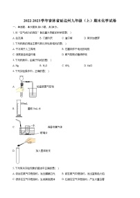 2022-2023学年吉林省延边州九年级（上）期末化学试卷（含详细答案解析）