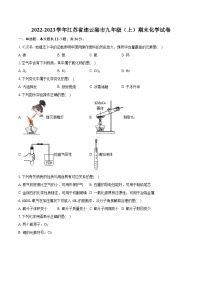 2022-2023学年江苏省连云港市九年级（上）期末化学试卷（含详细答案解析）