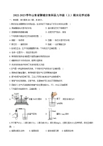 2022-2023学年山东省聊城市东阿县九年级（上）期末化学试卷（含详细答案解析）