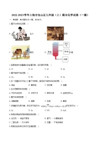 2022-2023学年上海市宝山区九年级（上）期末化学试卷（一模）（含详细答案解析）