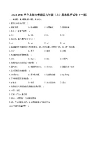 2022-2023学年上海市青浦区九年级（上）期末化学试卷（一模）（含详细答案解析）