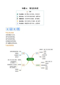 专题01 常见的单质-【寒假提升课】2024年九年级化学寒假提升课讲义（人教版）