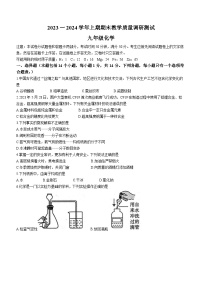 河南省鹤壁市2023-2024学年九年级上学期1月期末化学试题