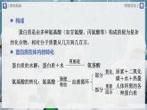 【人教版】九下化学  12.1人类重要的营养物质（课件+教案+导学案+分层练习）