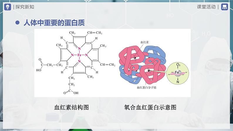 【人教版】九下化学  12.1人类重要的营养物质（课件+教案+导学案+分层练习）07