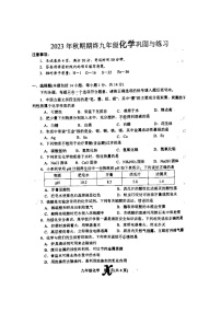 河南省南阳市内乡县2023-2024学年九年级上学期1月期末化学试题.