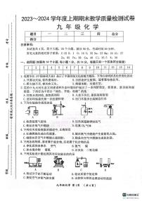 河南省漯河市郾城区2023-2024学年九年级上学期1月期末化学试题