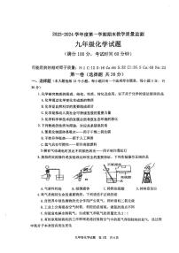 山东省枣庄市2023-2024学年九年级上学期1月期末化学试题