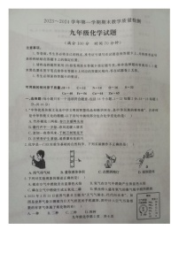 山东省德州市禹城市2023-2024学年九年级上学期1月期末化学试题