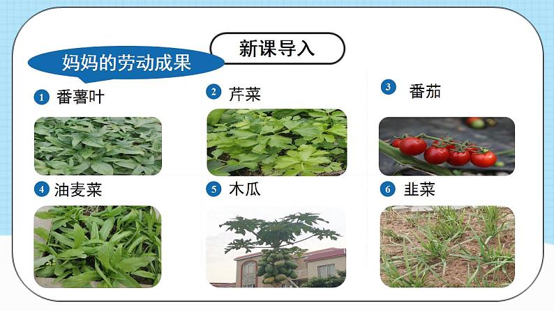 人教版化学九年级下册 11.2《化学肥料》第一课时 课件第6页