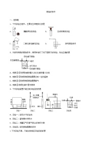 初中化学人教版九年级上册第七单元 燃料及其利用实验活动 3 燃烧的条件当堂达标检测题