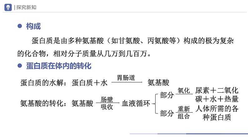 人教版化学九年级下册 12.1人类重要的营养物质 教学课件04