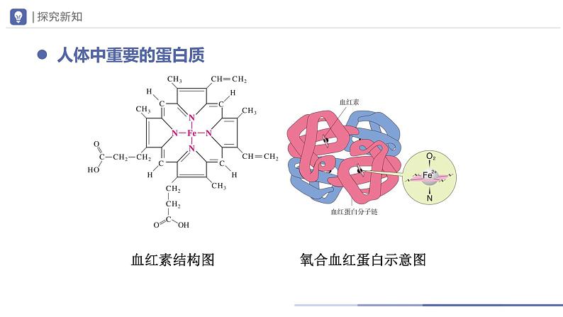 人教版化学九年级下册 12.1人类重要的营养物质 教学课件07