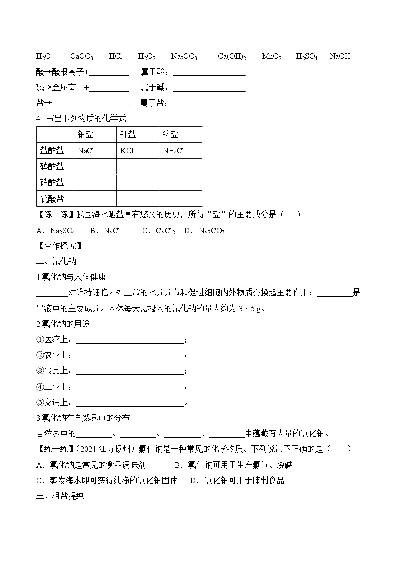 人教版化学九年级下册11.1《生活中常见的盐》第一课时 课件+教案+导学案+分层练习（含答案解析）02