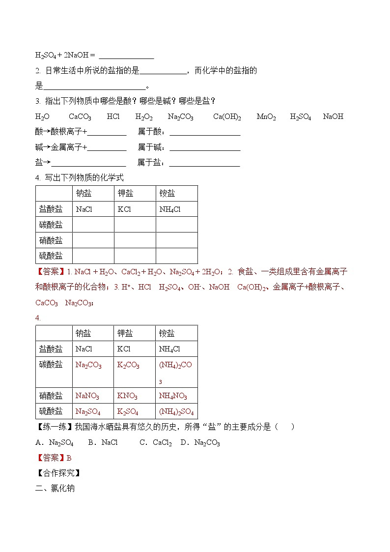 人教版化学九年级下册11.1《生活中常见的盐》第一课时 课件+教案+导学案+分层练习（含答案解析）02